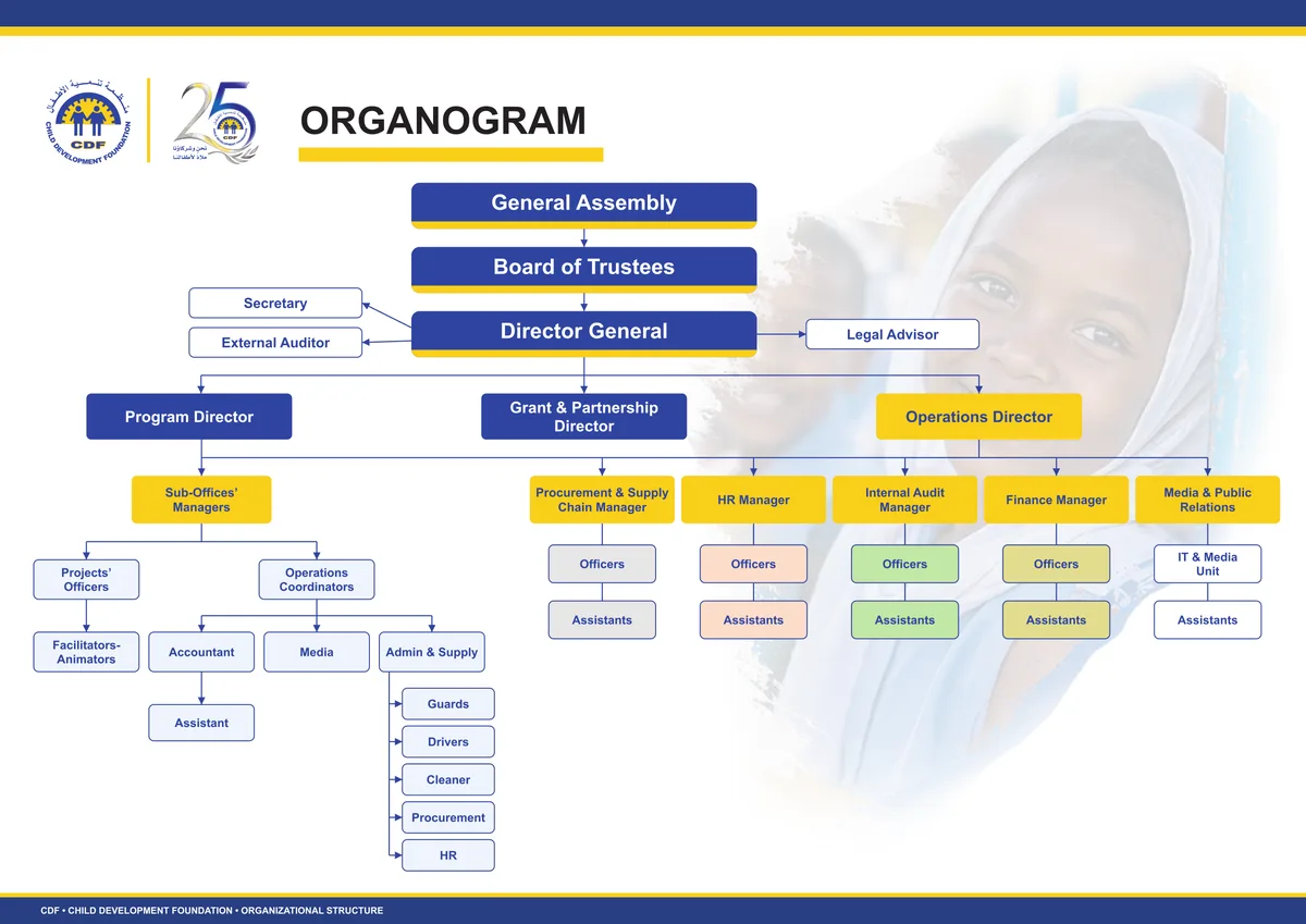 Organogram: management and operations