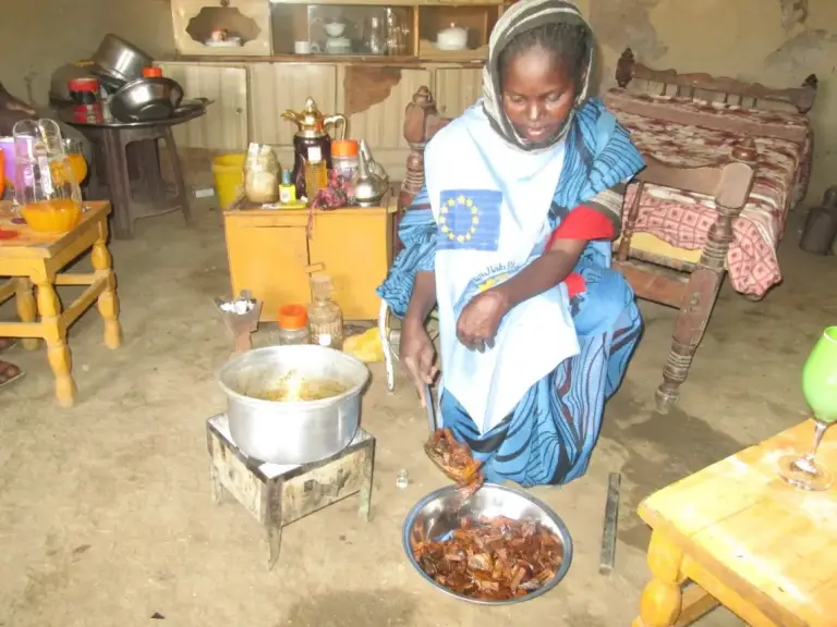 Beneficiaries form Vocational Trainings in Gadarif State