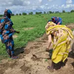 امرأتان بأثواب زاهية تجهّزان التربة بالمعاول في حقل أخضر تحت سماء غائمة